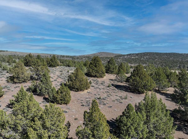 TL 801 Hines Logging Road, Hines, OR 97738