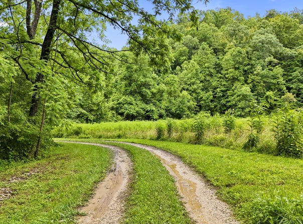 1235 Greenbrier Road, Campton, KY 41301