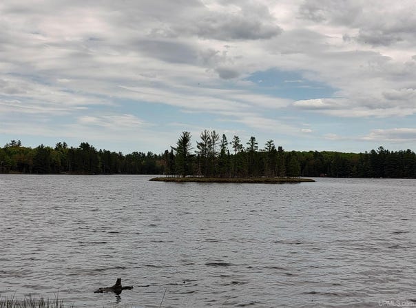 301A-301B Robinson Lake, Iron River, MI 49935