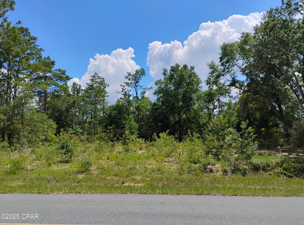 Lot 2 Walkerton Drive, Chipley, FL 32428