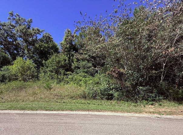 1041 Crown Ridge Lane, Powell, TN 37849