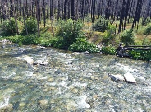 3931 Coffee Creek Rd, Coffee Creek, CA 96091