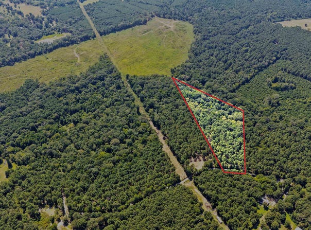 County Road 1240 lot: 2, Pittsburg, TX 75686