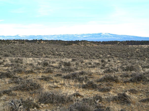 Vereda De Venados, Tierra Amarilla, NM 87575