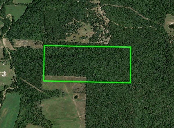 CR 919, Alpena, AR 72611