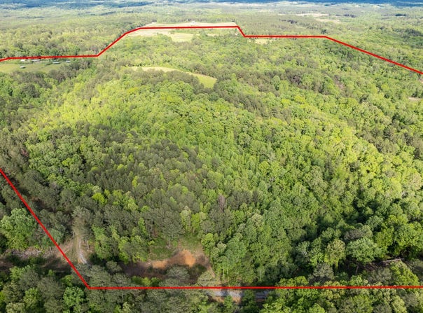 4203 County Road 25, Double Springs, AL 35553