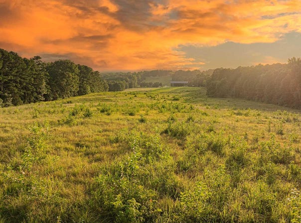1234 Firetower Rd, Hallsville, TX 75650