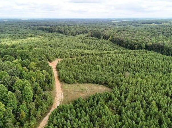 County Road 5131, MS 38829