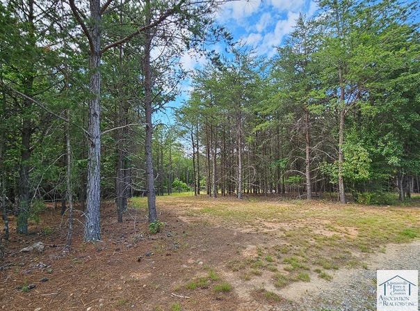 Tract 4 Mountain Scene Dr, Axton, VA 24054