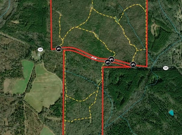 337+/- ac Ga Highway 0137, Buena Vista, GA 31803