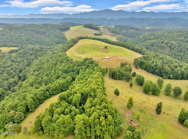 000 Strong Hollow Lane, Fort Blackmore, VA 24250