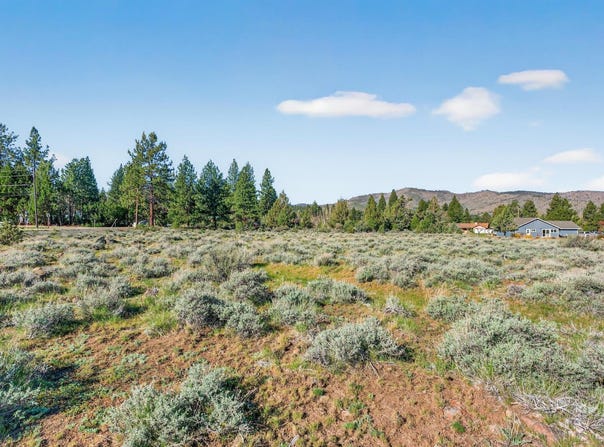 171 Smithneck Road, Loyalton, CA 96118