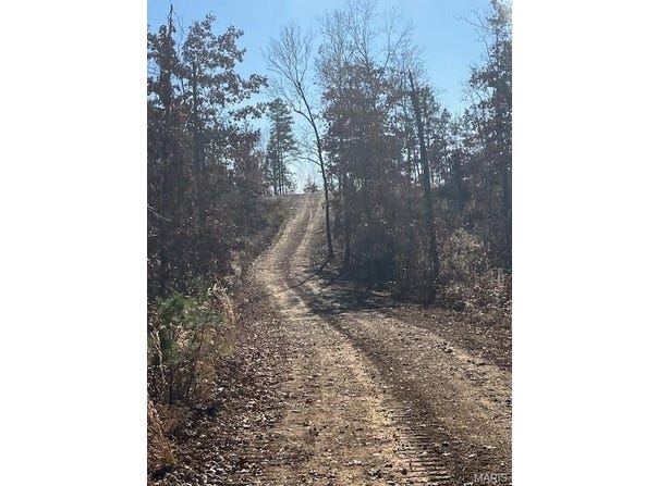 54 Madison CR 410, Fredericktown, MO 63645