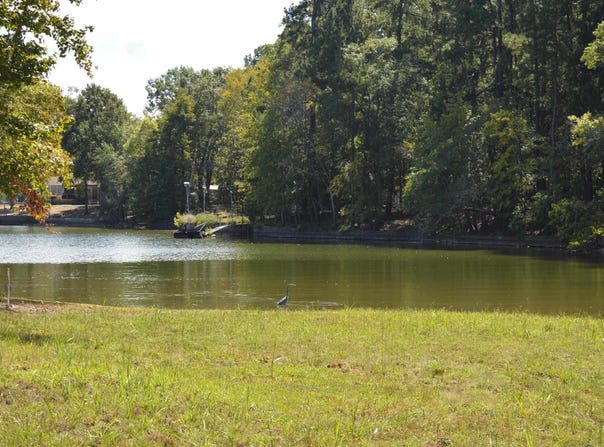 670 Goat Hill Road, Ridgeway, SC 29130
