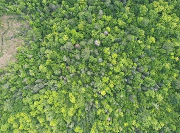 Tract 3 Ticonderoga Trail, Hackensack, MN 56452