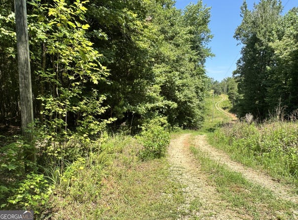 0 Hwy 29, Danielsville, GA 30633