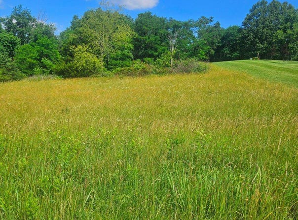 0 Pear Blossom Lane, Natural Bridge, VA 24578