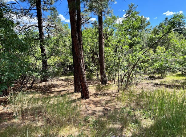 0 Blk 2, Lot 14, Brazos Estate, Chama, NM 87520