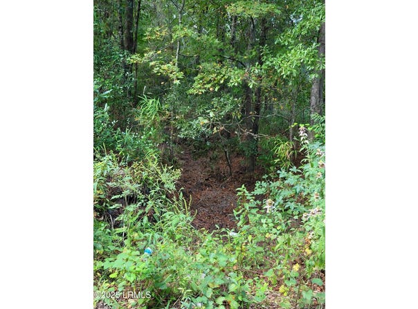 Tbd Tina Manker Road, Ridgeland, SC 29936