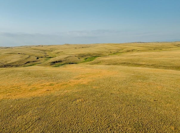 32 Wallows Creek Parcel 2, Buffalo, WY 82834-0000