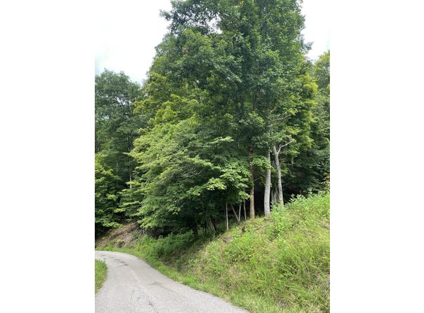 Lot 4 Moore Road, Lavalette, WV 25535