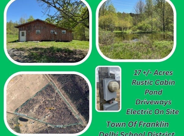 64 Olin Evans Road, Franklin, NY 13775