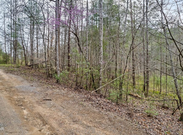 Lot 121 Creek Hollow Way, Sevierville, TN 37876