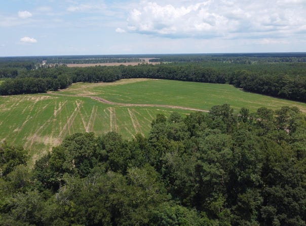 0 Black River Road, New Zion, SC 29111
