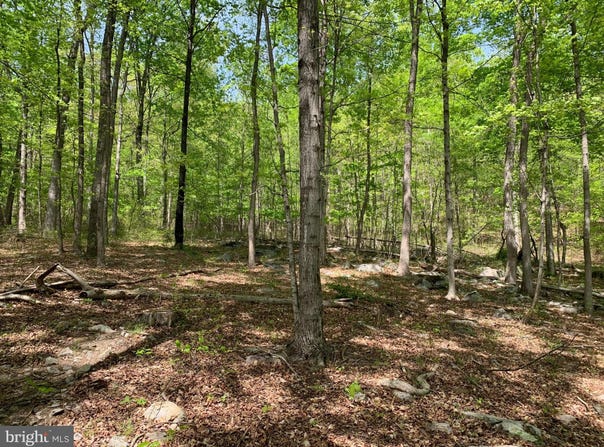 WOODMONT ROAD, GREAT CACAPON, WV 25422