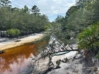 0000 St. Mary's River Bluff, LTD, Saint George, GA 31562