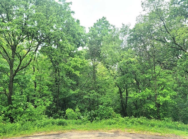 4 Hillside, GALENA, IL 61036
