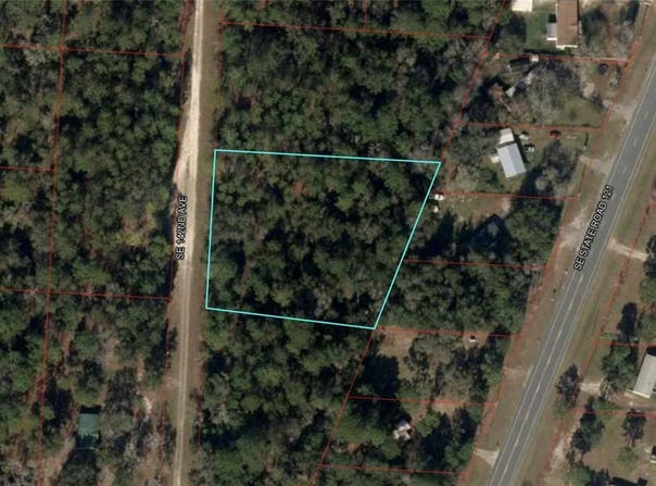142ND AVENUE, MORRISTON, FL 32668
