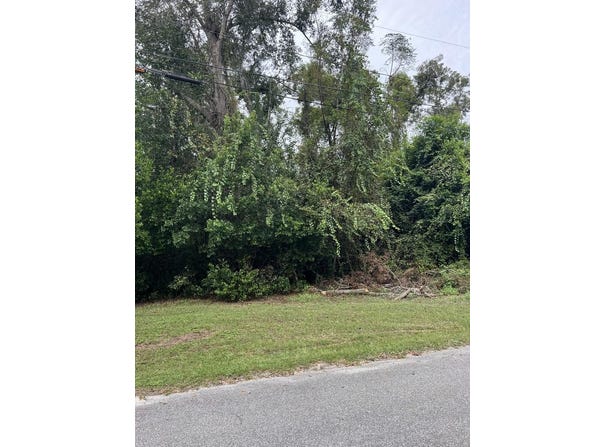 Reynolds Ave, Broxton, GA 31519