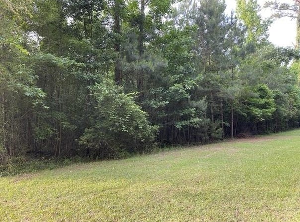 000 Belle Acres Drive, Orangeburg, SC 29118