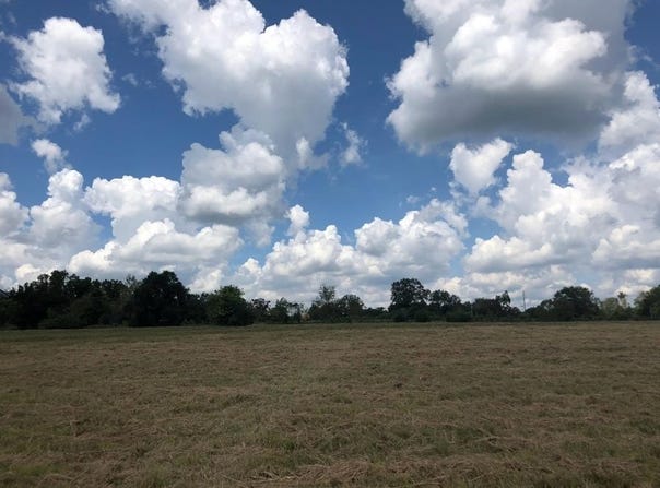 4195 Cedar springs road, Ashford, AL 36312