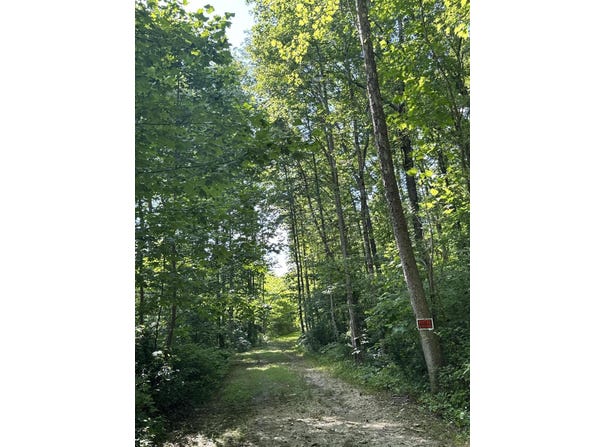 1111 Whitley Trail, London, KY 40741