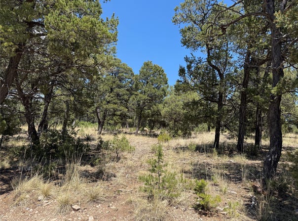 17 Wild Wings Circle, Pecos, NM 87552