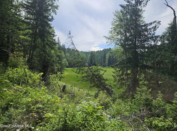 354 Swamp Donkey Trail, Sandpoint, ID 83864