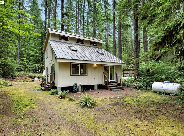 Northwoods Cabin 165, Cougar, WA 98616