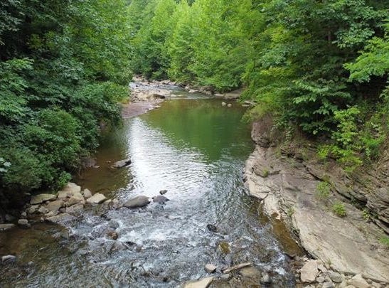 ABRAMS CREEK - OAKMONT, WV, ELK GARDEN, WV 26717