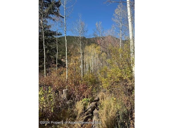 349 Crystal Circle, Carbondale, CO 81623