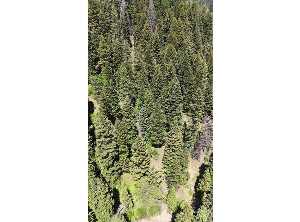 74 Burnt Wagon Trail, Donnelly, ID 83615