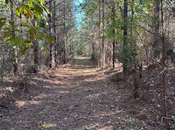 Smith County Road 18-5a, Bay Springs, MS 39422