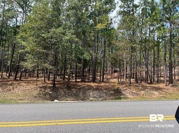 State Highway 225, Spanish Fort, AL 36527