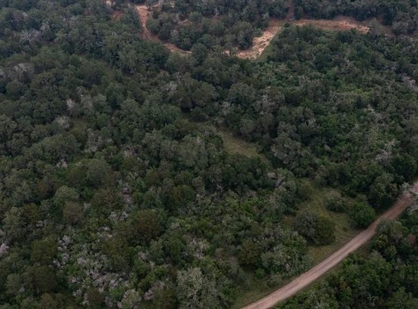 Lot 4 Private Road 4601, Waelder, TX 78959