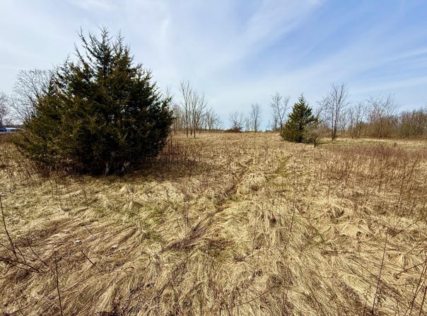 Hudson Road, Pittsford, MI 49271