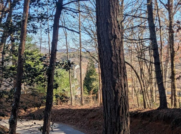 Ivy Log Drive, Blairsville, GA 30546