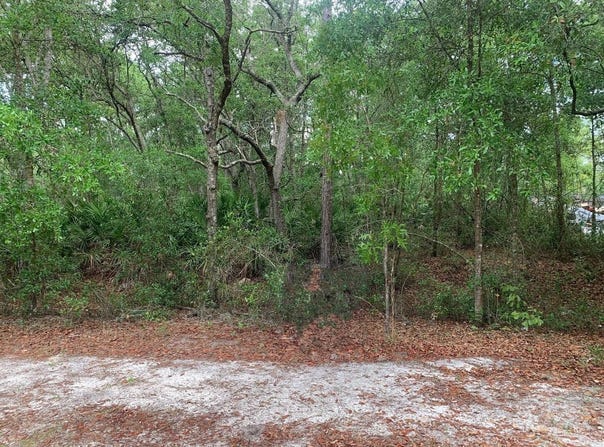 209 Highline Trail, Satsuma, FL 32189