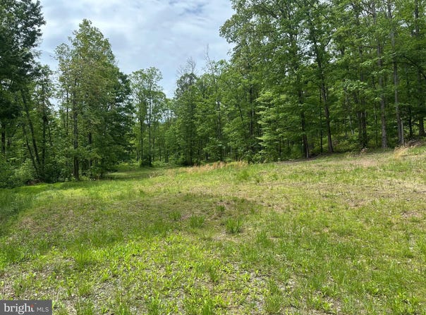 389.2 ACRES WOODMONT ROAD, GREAT CACAPON, WV 25422