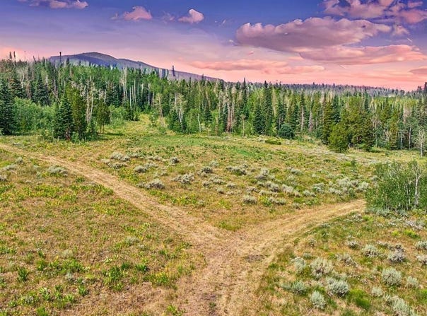TBD SPRING CREEK RANCH RD, Silverthorne, CO 80498